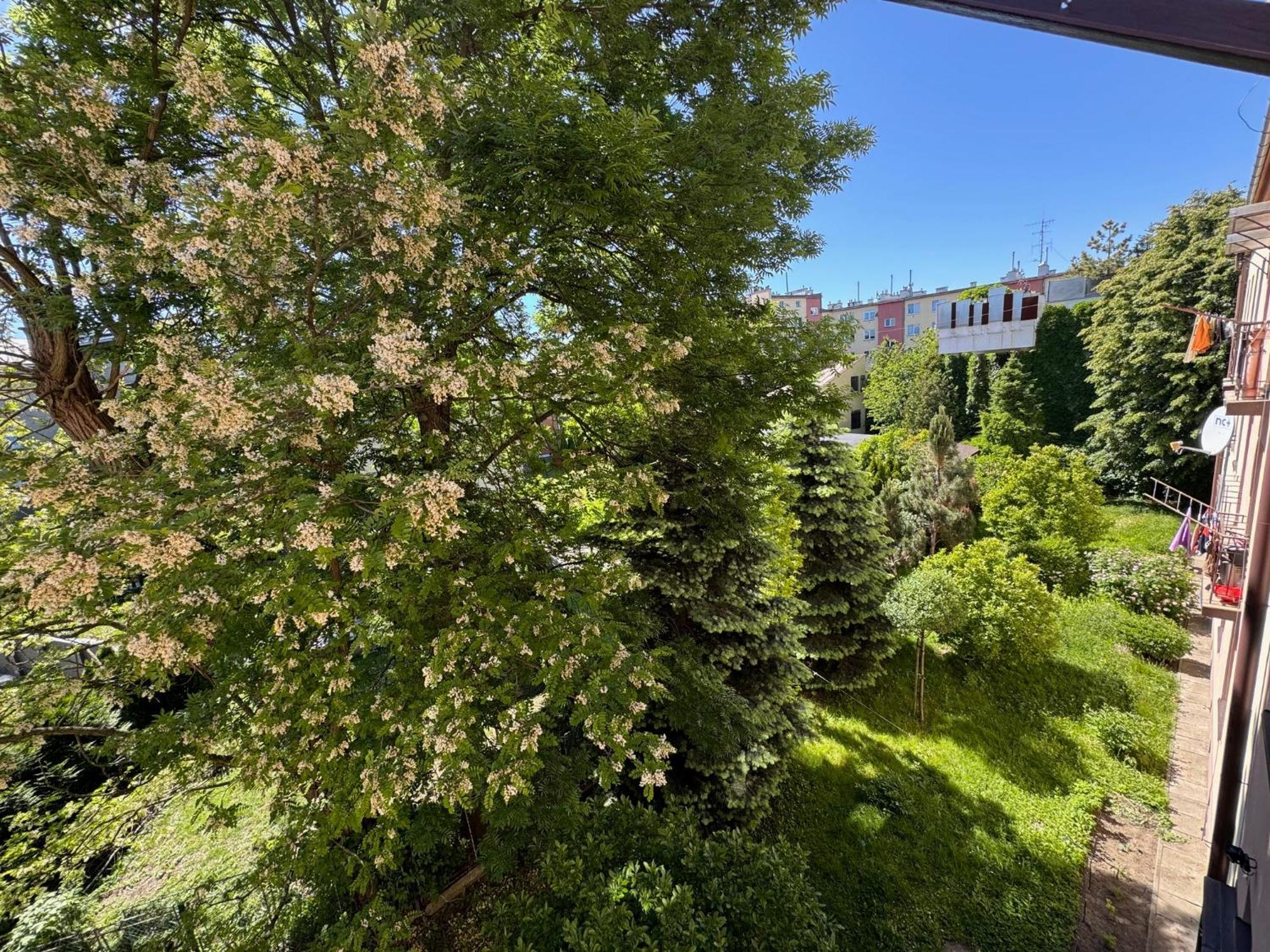 ז'שוב Apartament Akacja Centrum מראה חיצוני תמונה